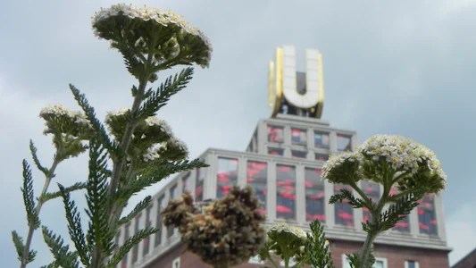 Wilde Kräuter und alte Brauereien