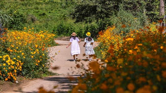 Naturdetektive im Auftrag des Waldministeriums