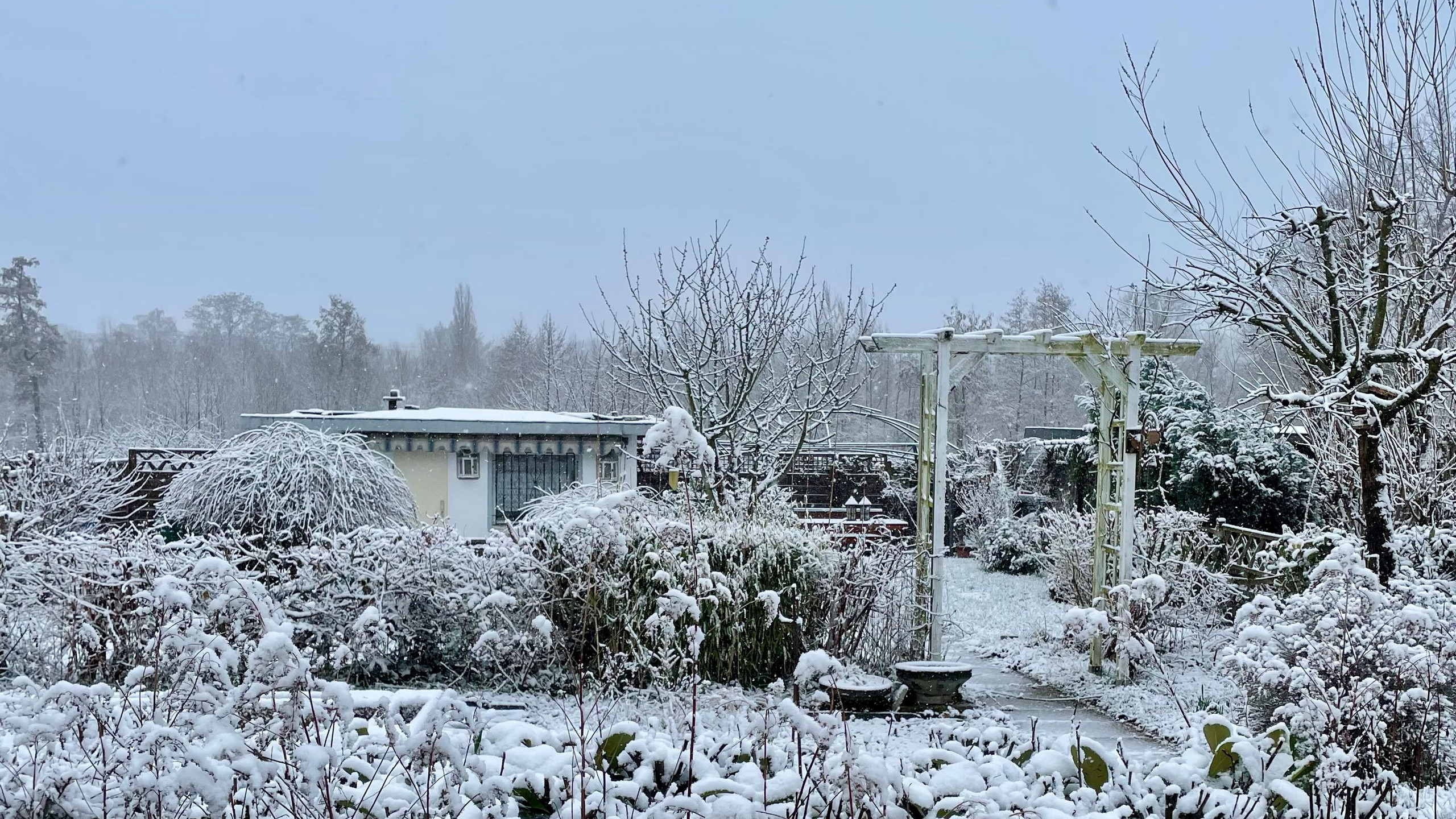Die Geheimnisse Dortmunds Grüner Oasen: Eine Vorschau auf die Kleingarten-Tour