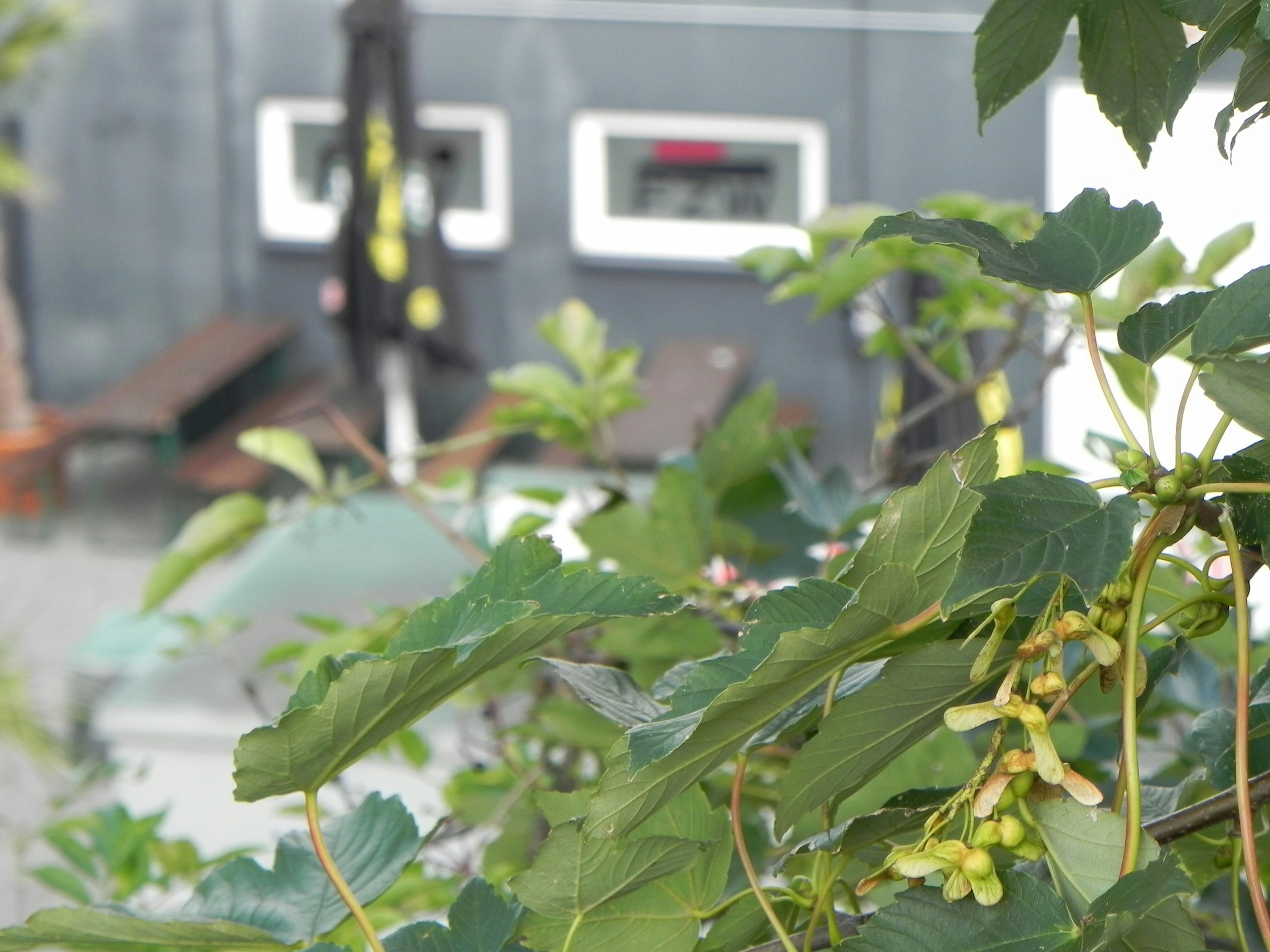 sanfte touren landschaftsbild