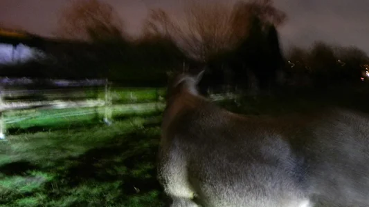 Radtour - sagenhaftes Hörde